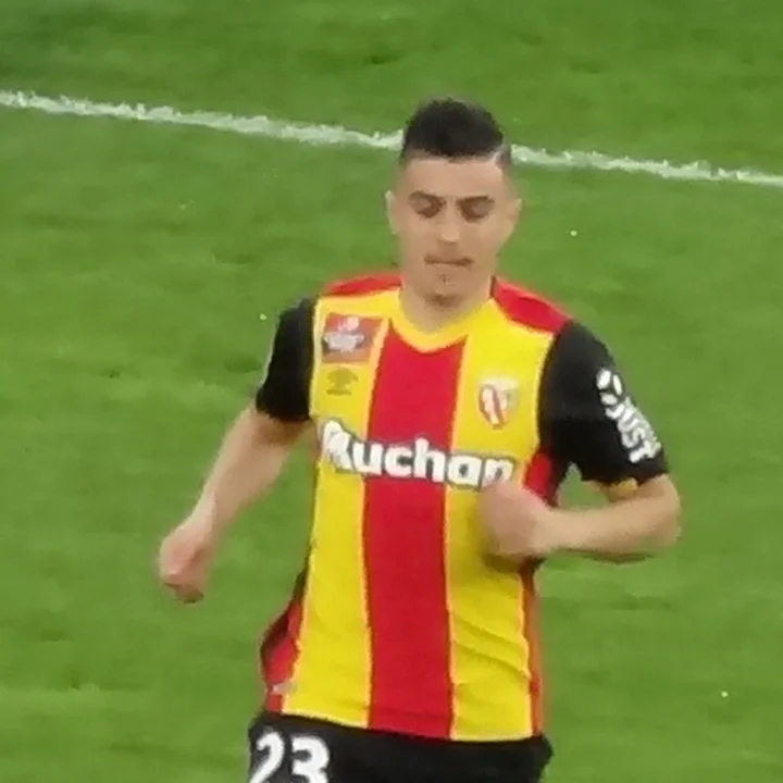 Karim Hafez