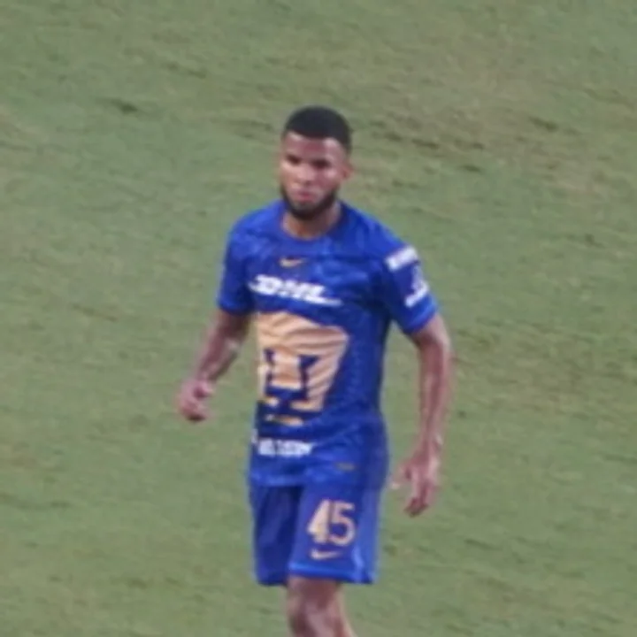 Pedro Vite