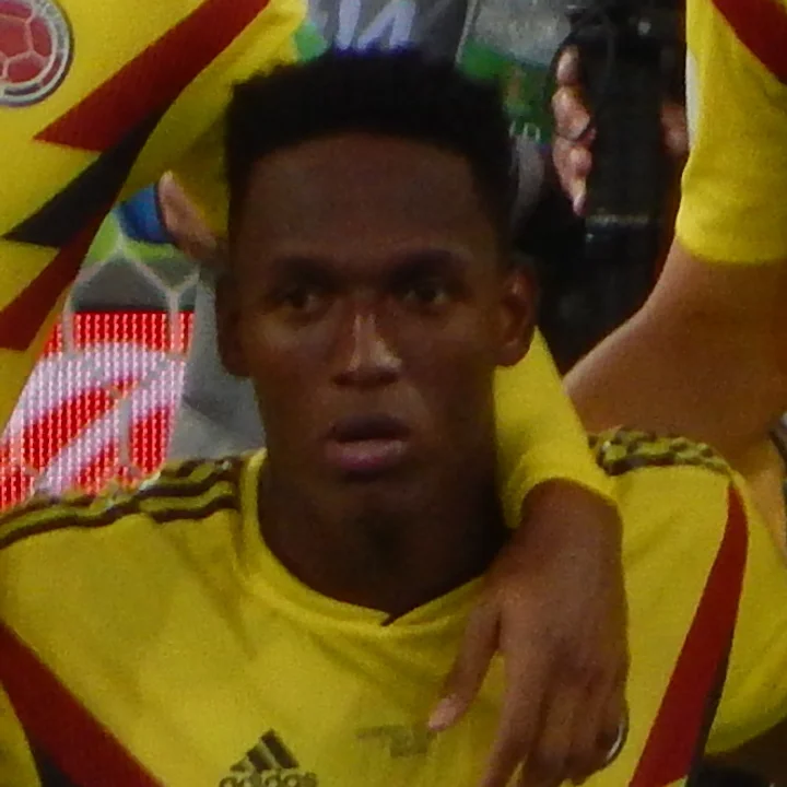 Yerry Mina